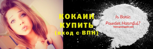 хмурый Нея