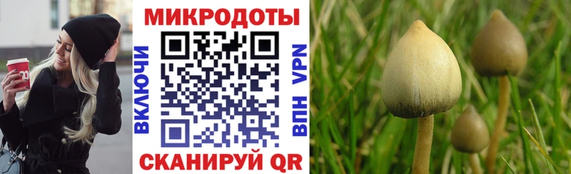 Галлюциногенные грибы ЛСД  наркотики  Чекалин 